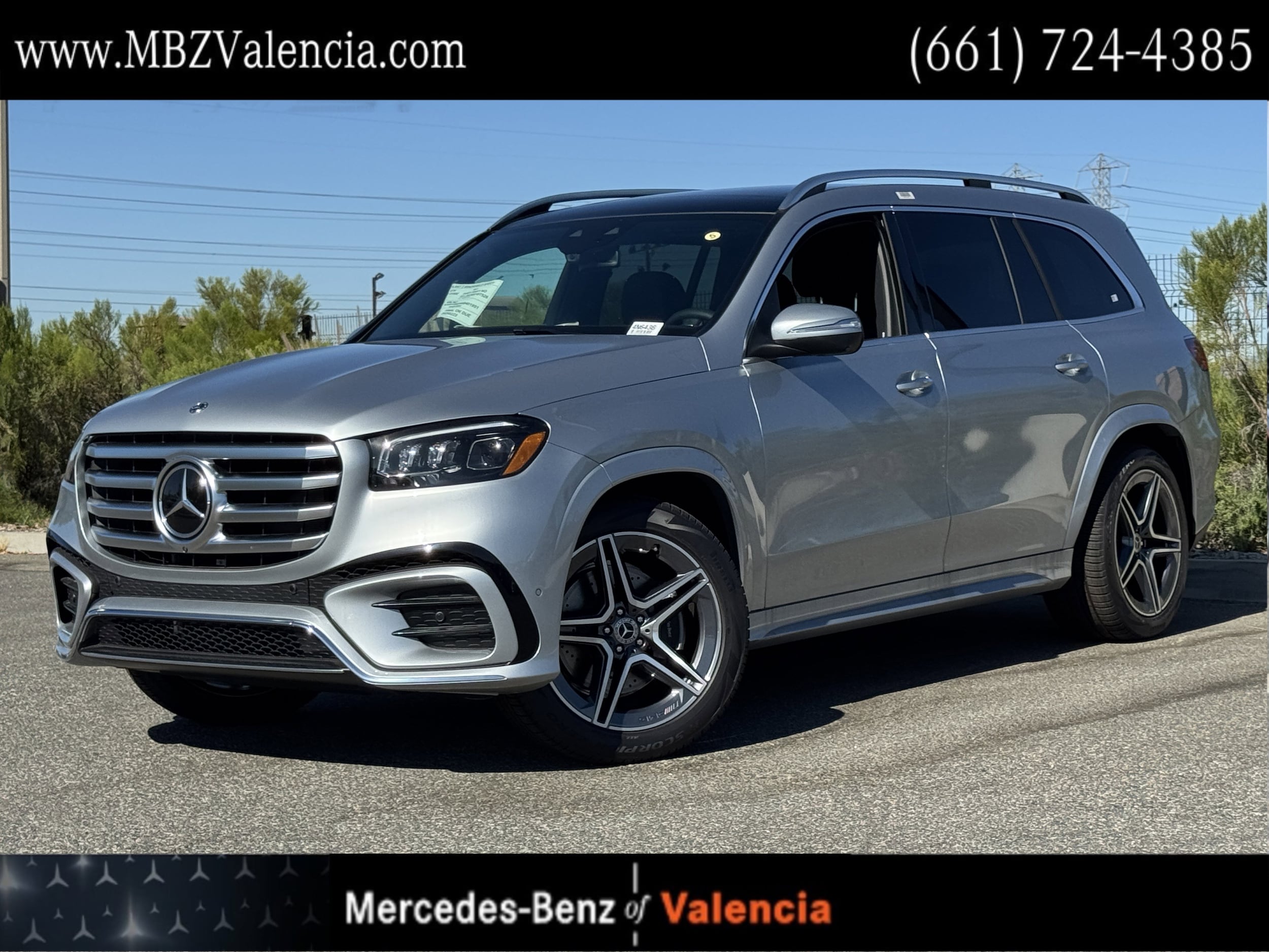 2025 Mercedes-Benz GLS Base's photo