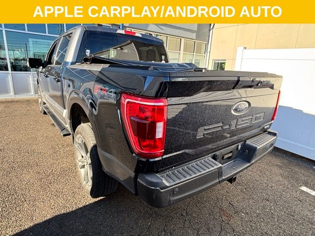 2023 Ford F-150 XLT photo 3