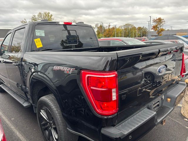 2023 Ford F-150 XLT photo 3