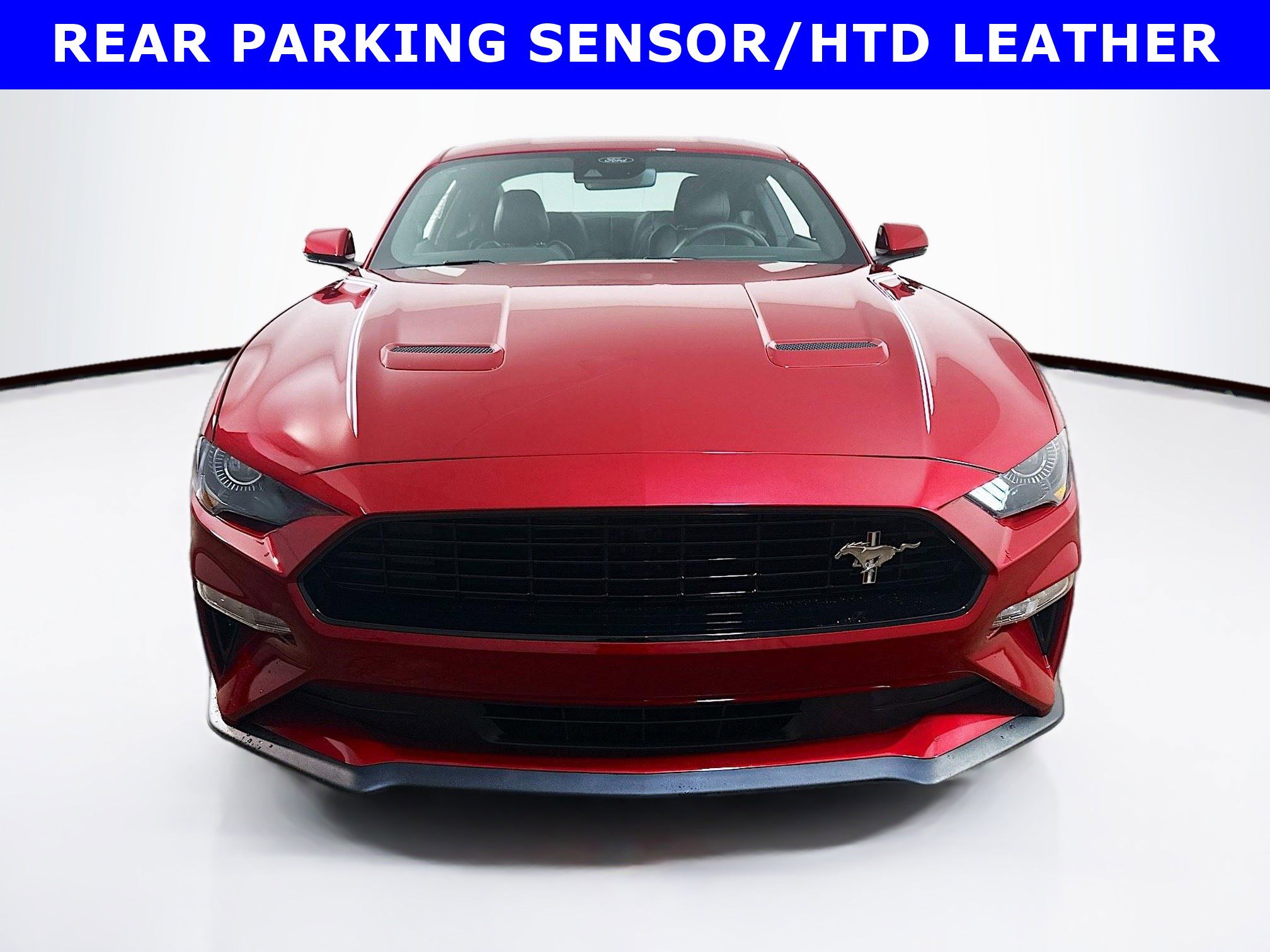 Certified 2023 Ford Mustang EcoBoost Premium with VIN 1FA6P8TH6P5113170 for sale in Langhorne, PA
