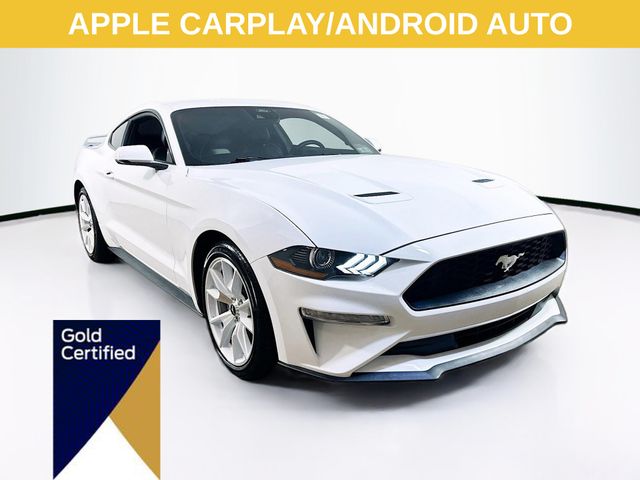 2023 Ford Mustang EcoBoost Premium's photo