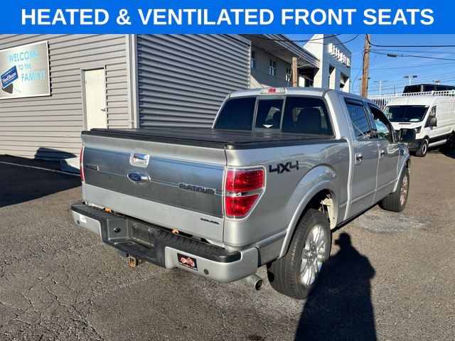 2013 Ford F-150 Platinum photo 3