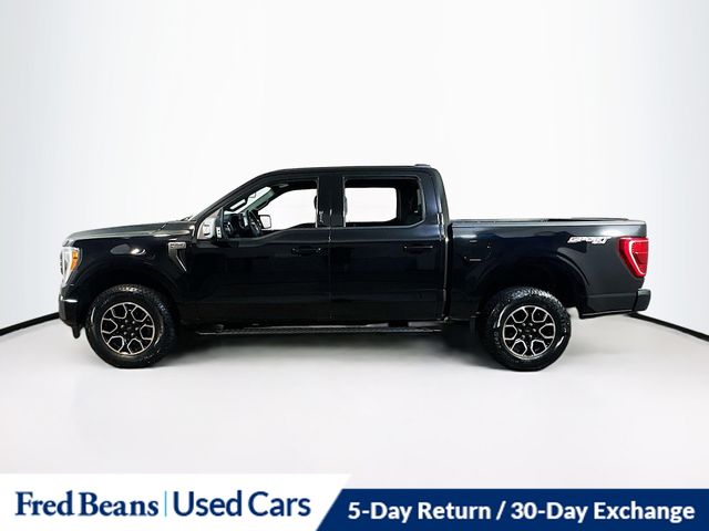 2022 Ford F-150 XLT photo 4