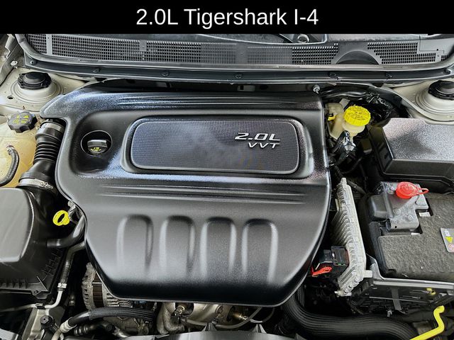 Photo 21