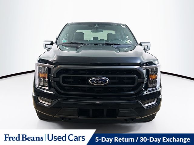 2023 Ford F-150 XLT photo 2