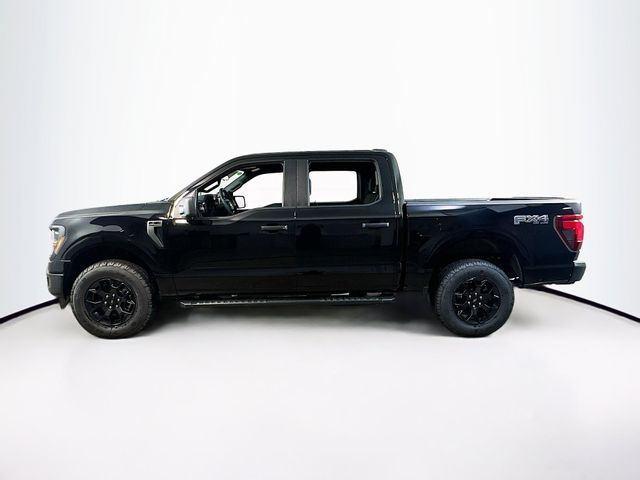 2025 Ford F-150 STX photo 3