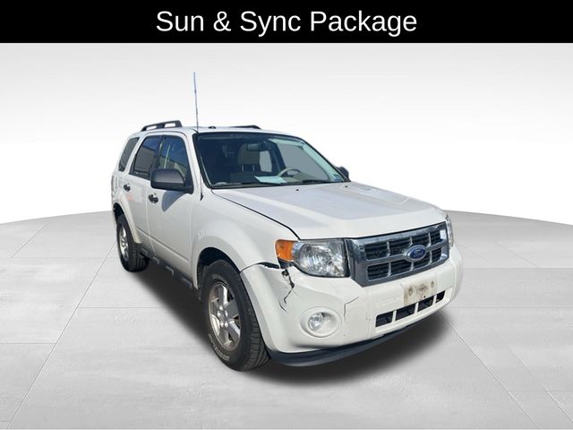 2012 Ford Escape XLT 4WD's photo