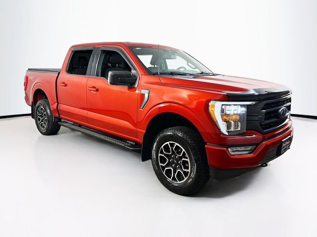 2023 Ford F-150 XLT's photo