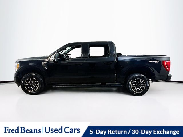 2023 Ford F-150 XLT photo 3