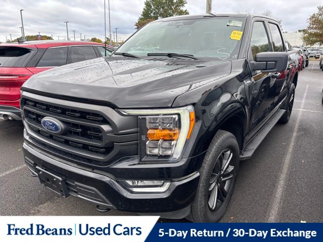 2023 Ford F-150 XLT photo 2