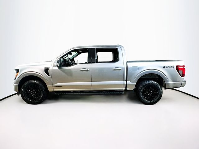 2025 Ford F-150 XLT photo 3