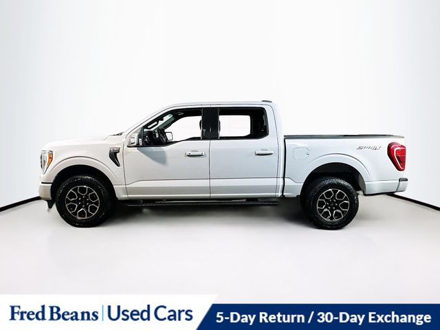 2023 Ford F-150 XLT photo 2