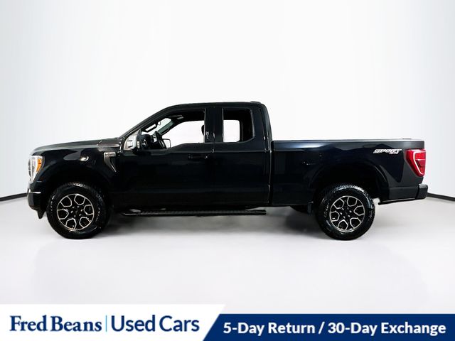 2023 Ford F-150 XLT photo 4