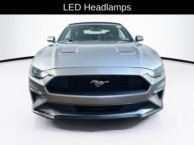 Used 2020 Ford Mustang EcoBoost Premium with VIN 1FATP8UH1L5135069 for sale in Langhorne, PA