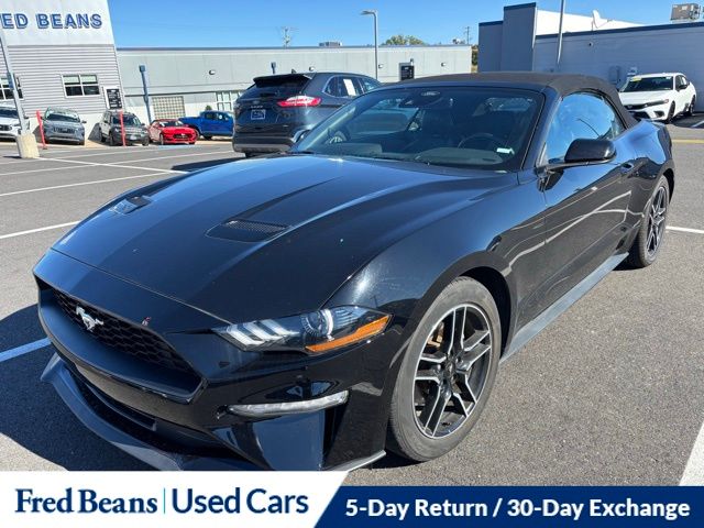 2023 Ford Mustang EcoBoost Premium Convertible photo 2