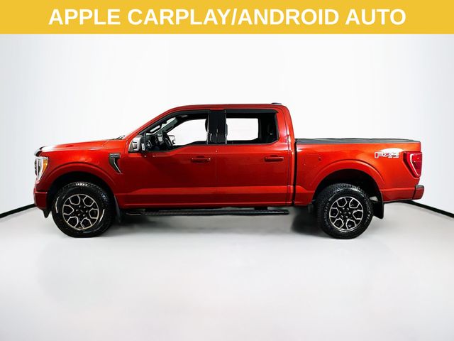 2023 Ford F-150 XLT photo 3