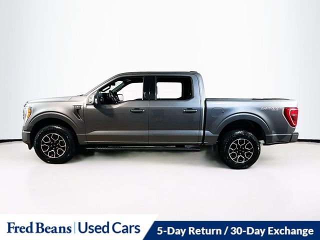 2022 Ford F-150 XLT photo 4