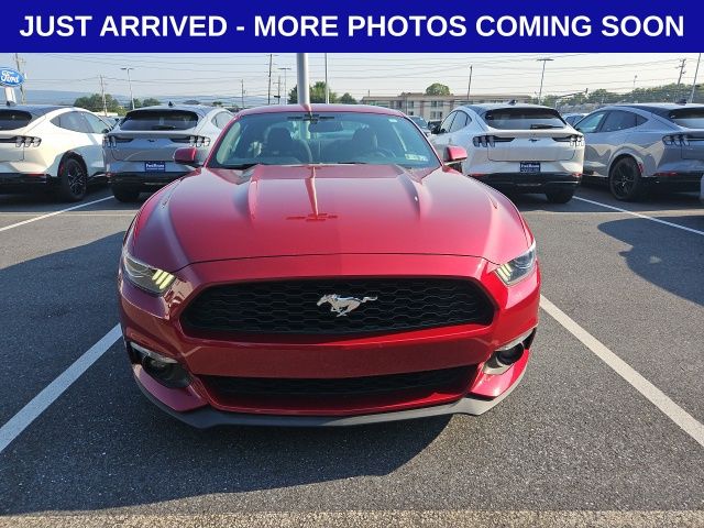 2017 Ford Mustang EcoBoost photo 2