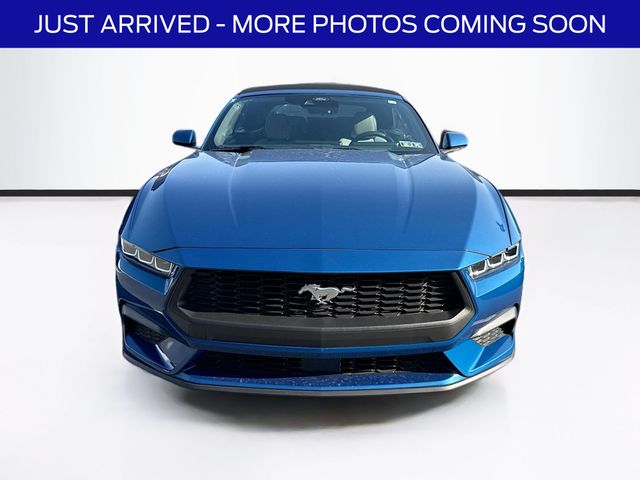 2024 Ford Mustang EcoBoost Convertible photo 2