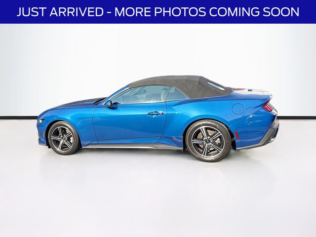 2024 Ford Mustang EcoBoost Convertible photo 4