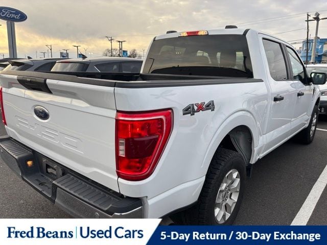 2023 Ford F-150 XLT photo 4