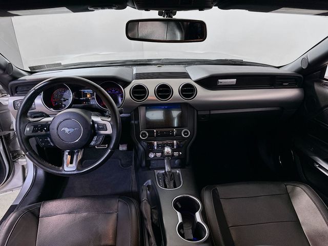 View 17