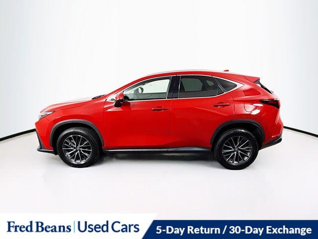 2022 Lexus NX 350 Premium photo 4