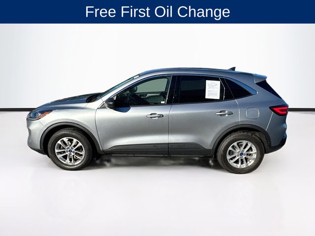 2022 Ford Escape SE photo 4