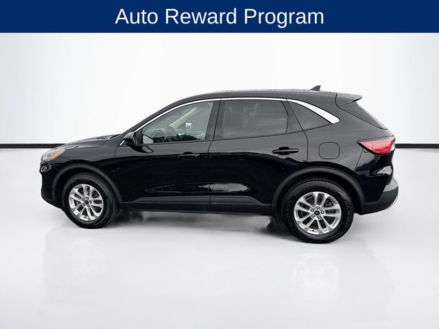 2020 Ford Escape SE photo 3