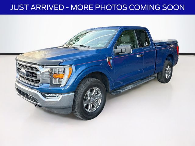 2023 Ford F-150 XLT photo 3