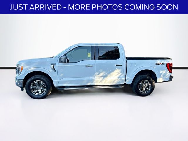2022 Ford F-150 XLT photo 4