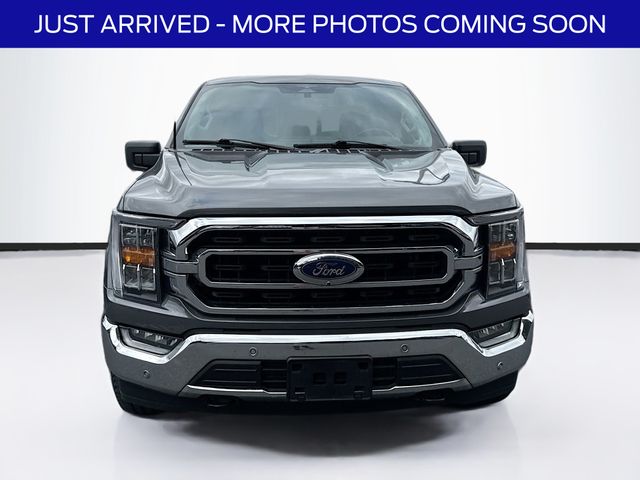 2023 Ford F-150 XLT photo 2