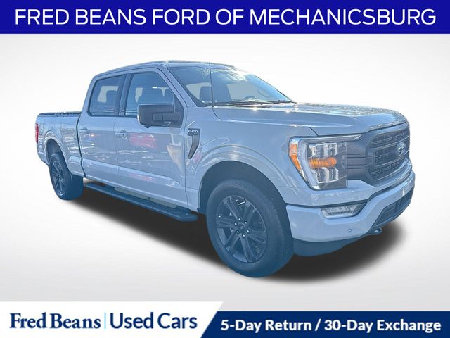 2023 Ford F-150 XLT's photo