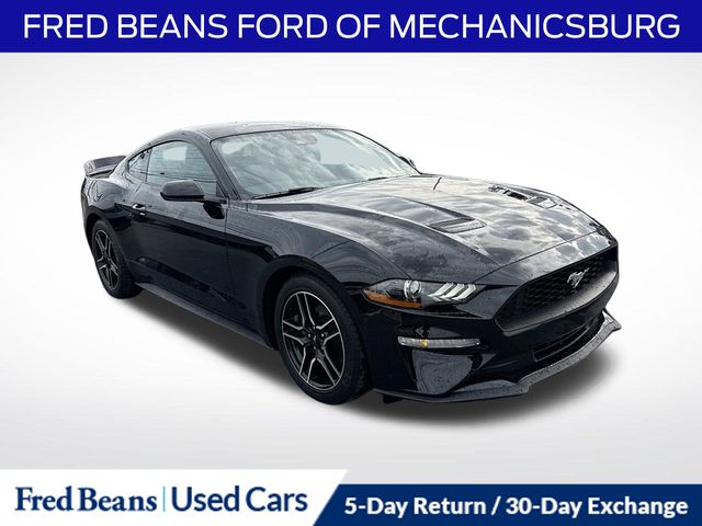 2023 Ford Mustang EcoBoost's photo