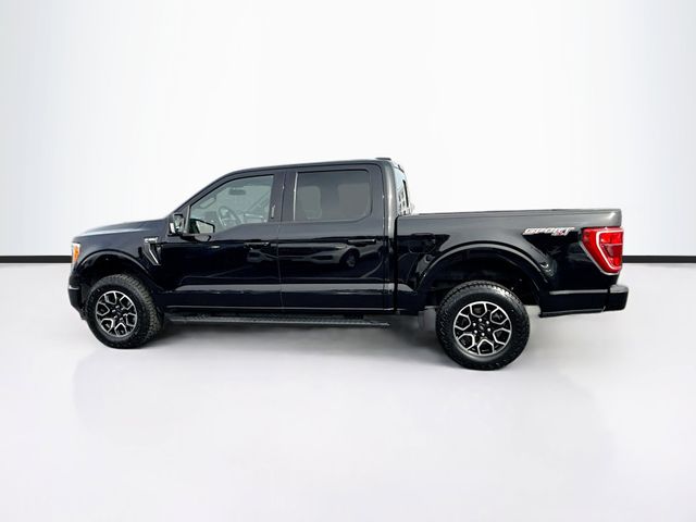 2023 Ford F-150 XLT photo 4