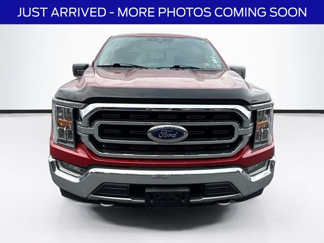 2021 Ford F-150 XLT photo 2