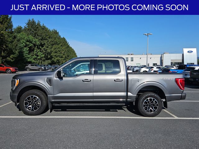 2022 Ford F-150 XLT photo 4