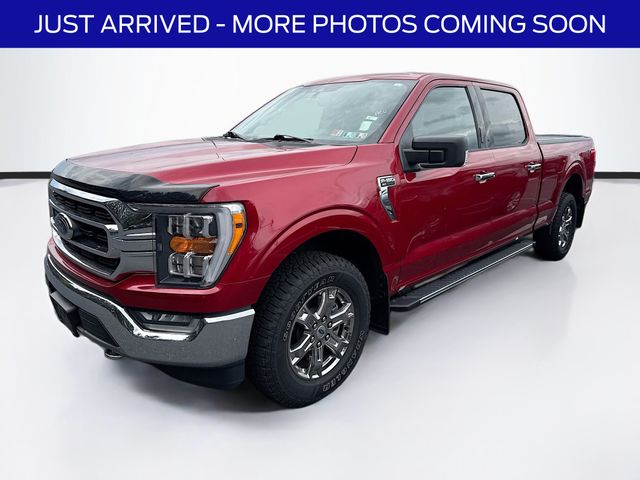 2021 Ford F-150 XLT photo 3
