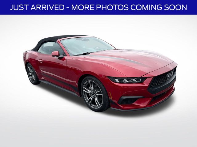2024 Ford Mustang EcoBoost Premium Convertible's photo