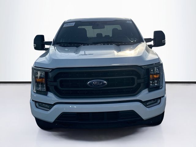 2023 Ford F-150 XLT photo 2