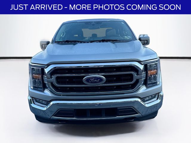 2023 Ford F-150 XLT photo 2