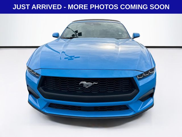 2024 Ford Mustang EcoBoost Premium Convertible photo 2