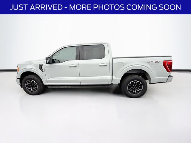 2023 Ford F-150 XLT photo 4
