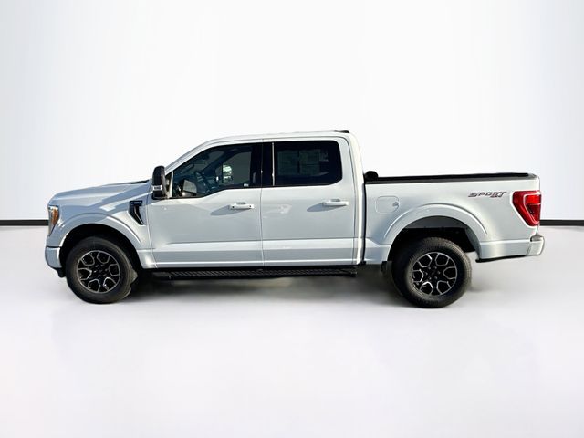 2023 Ford F-150 XLT photo 4
