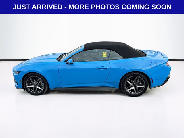 2024 Ford Mustang EcoBoost Premium Convertible photo 3