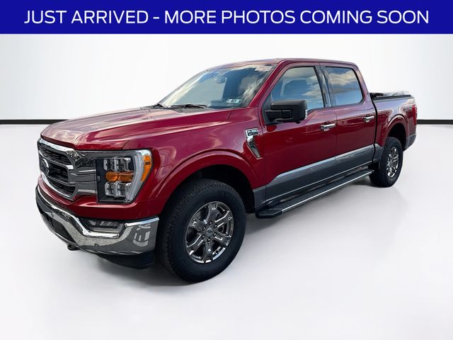 2022 Ford F-150 XLT photo 3
