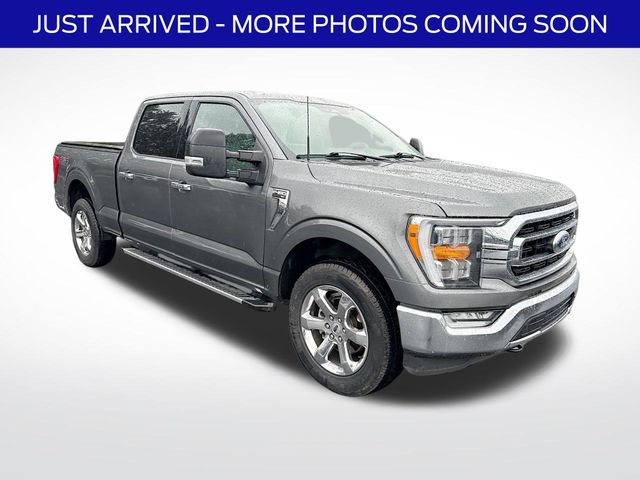 2023 Ford F-150 XLT 4x4 SuperCrew 5-1/2 Box's photo