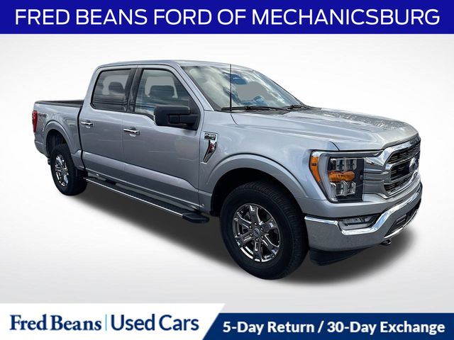 2023 Ford F-150 XLT's photo