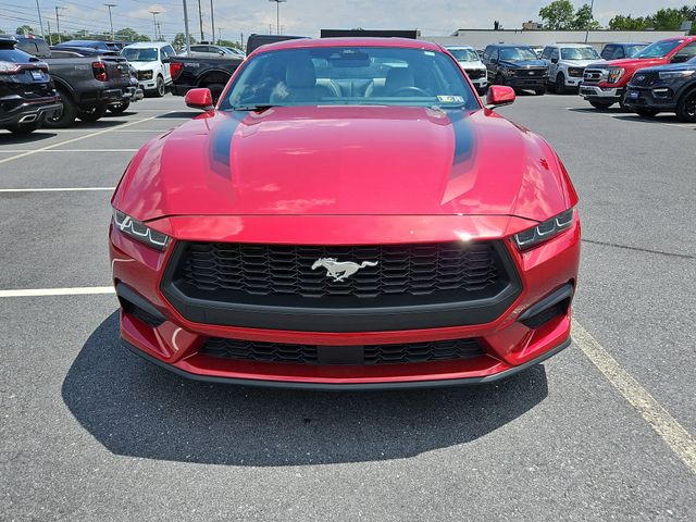 2024 Ford Mustang EcoBoost Premium photo 2