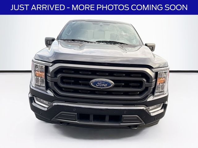2023 Ford F-150 XLT photo 2